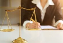 What is the Difference Between a Paid and Pro-Bono Immigration Lawyer
